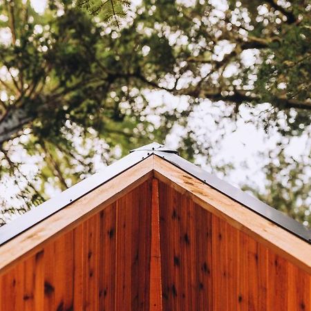 Вилла The Treeframe Cabin Индекс Экстерьер фото