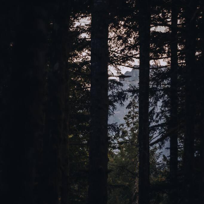 Вилла The Treeframe Cabin Индекс Экстерьер фото